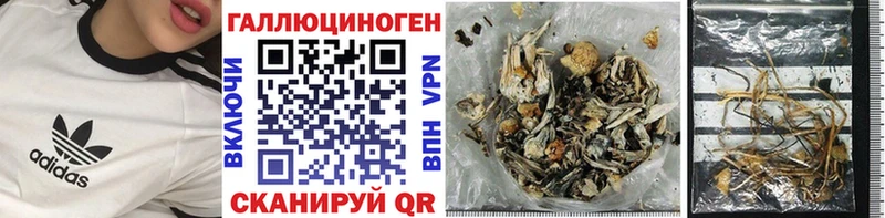 где продают   Карасук  Галлюциногенные грибы MAGIC MUSHROOMS 